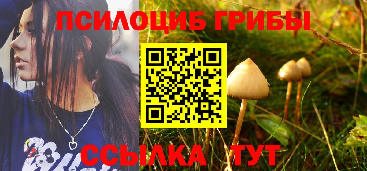 Галлюциногенные грибы GOLDEN TEACHER  купить наркоту  Галлюциногенные грибы прущие грибы  Бугульма  Вход с VPN 